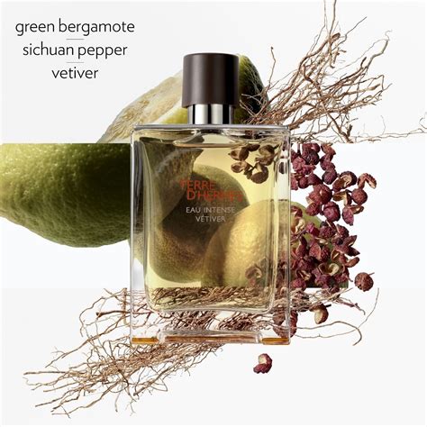 terre de hermes eau vetiver parfum|sephora bergamot and vetiver.